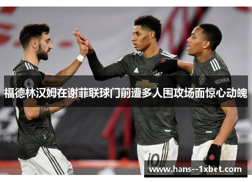 福德林汉姆在谢菲联球门前遭多人围攻场面惊心动魄