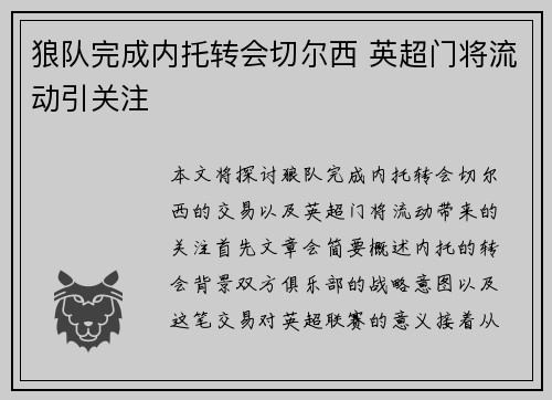 狼队完成内托转会切尔西 英超门将流动引关注